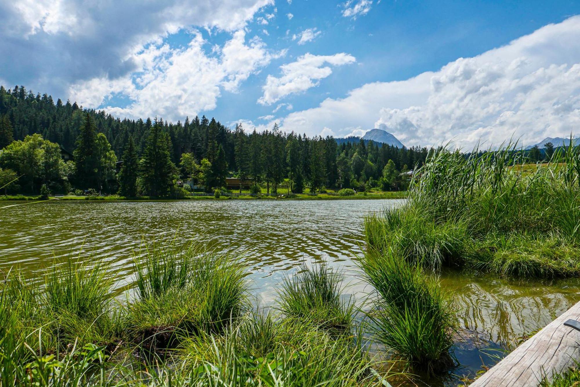 Landhaus Haid Seefeld in Tirol Ngoại thất bức ảnh